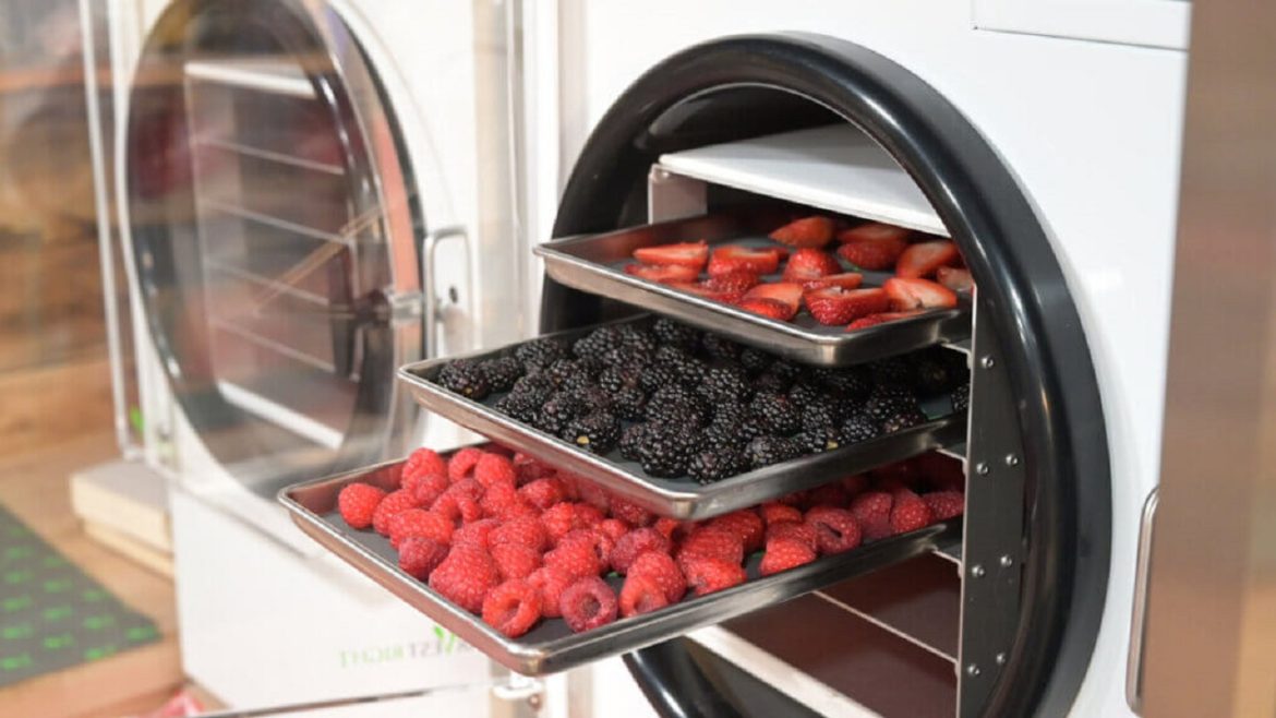 Use-of-Freezers-in-Business-Activities-The-Role-of-Freeze-Dried-Wholesalers